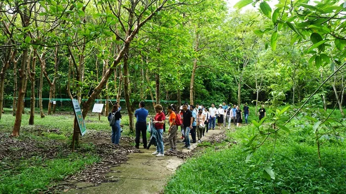 Du Lịch Sinh Thái Là Gì & Các Nguyên Tắc Cốt Lõi