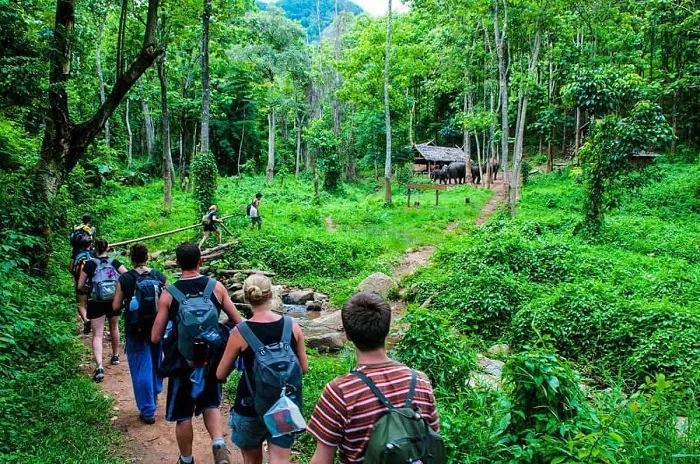 Du Lịch Sinh Thái Là Gì & Vì Sao Quan Trọng?