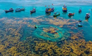 Vẫy Gọi Biển Xanh: Khám Phá Thiên Đường Biển Đảo Việt Nam Năm 2025 Đầy Quyến Rũ